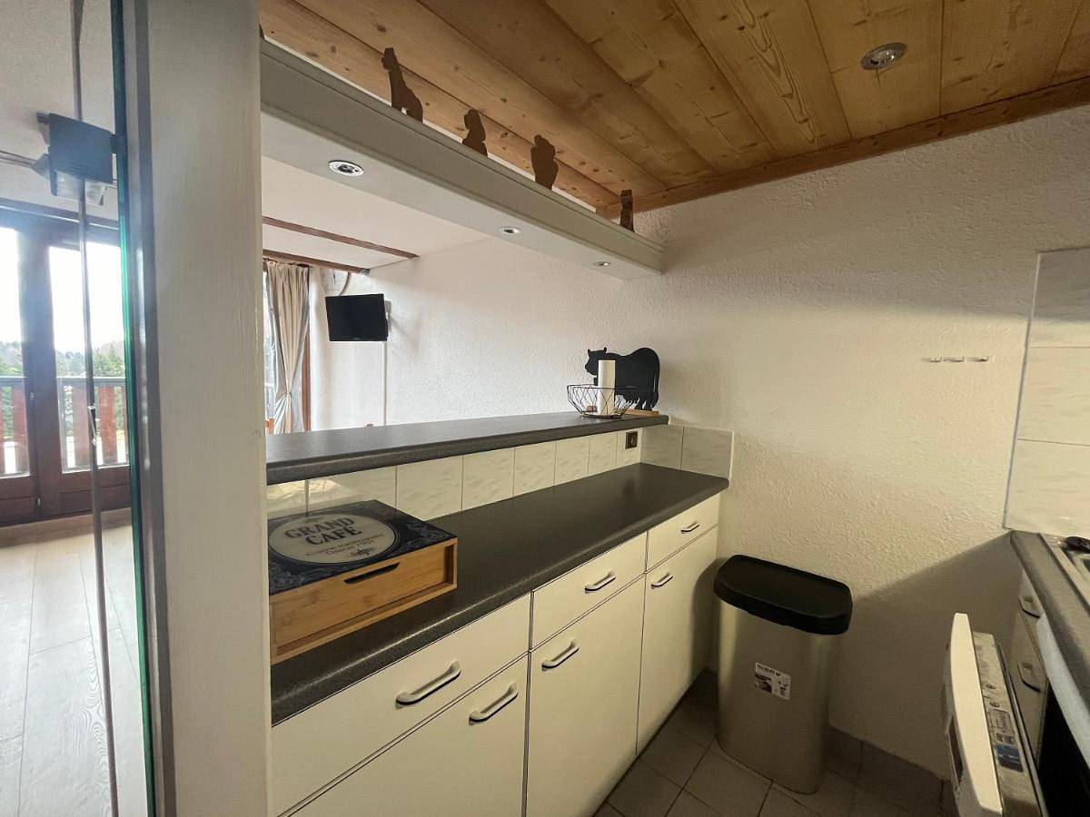 Apartamento entero, One-Bedroom Apartment in Praz de Lys, Taninges