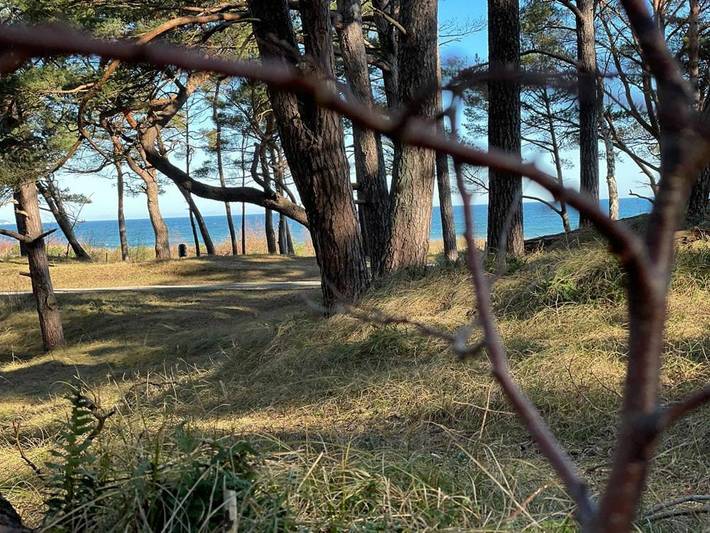 Camping für 4 Personen, mit Terrasse und Garten sowie Sauna und Ausblick an der Ostsee - 2