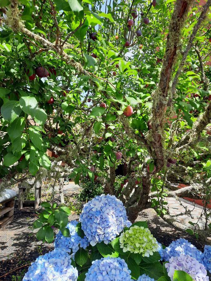 Casa rural para 2 personas, con jardín y vistas en El Hierro - 4