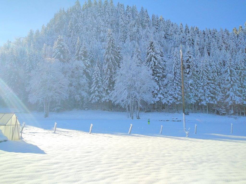 Gîte sous la Vie du Bois in Val de Morteau, Doubs