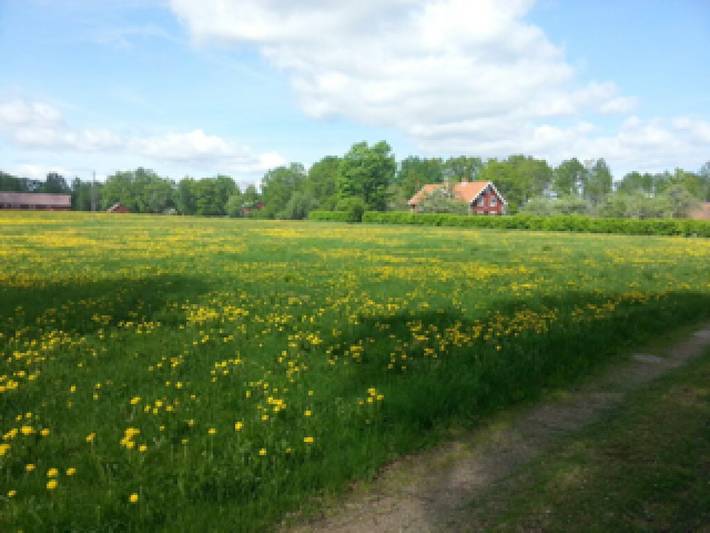 Ferienhaus für 6 Personen, mit Terrasse und Whirlpool sowie Garten in Lessebo und Umgebung - 2