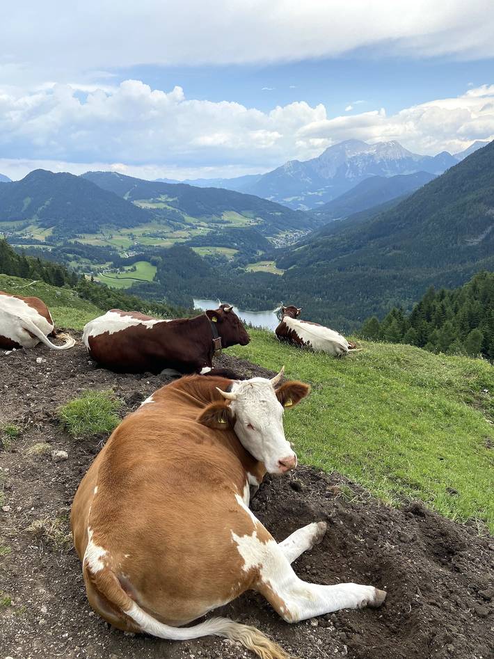 Hütte für 2 Personen im Berchtesgadener Land - 4