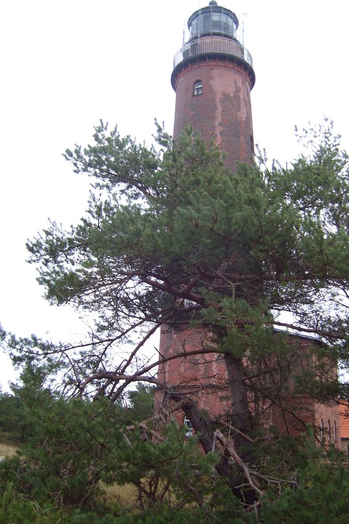 Ferienwohnung für 2 Personen, mit Terrasse und Garten in Prerow