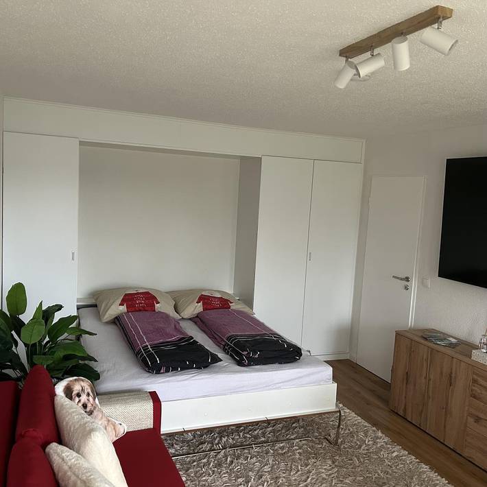 Apartamento inteiro,  Fewo Austria Dreisessel in Altreichenau in Altreichenau, Neureichenau