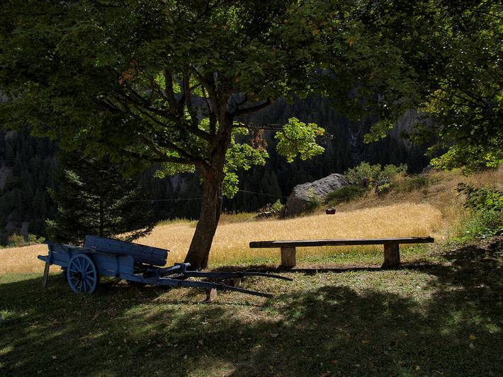 Gîte pour 6 personnes, avec jardin en Provence-Alpes-Côte d'Azur - 4