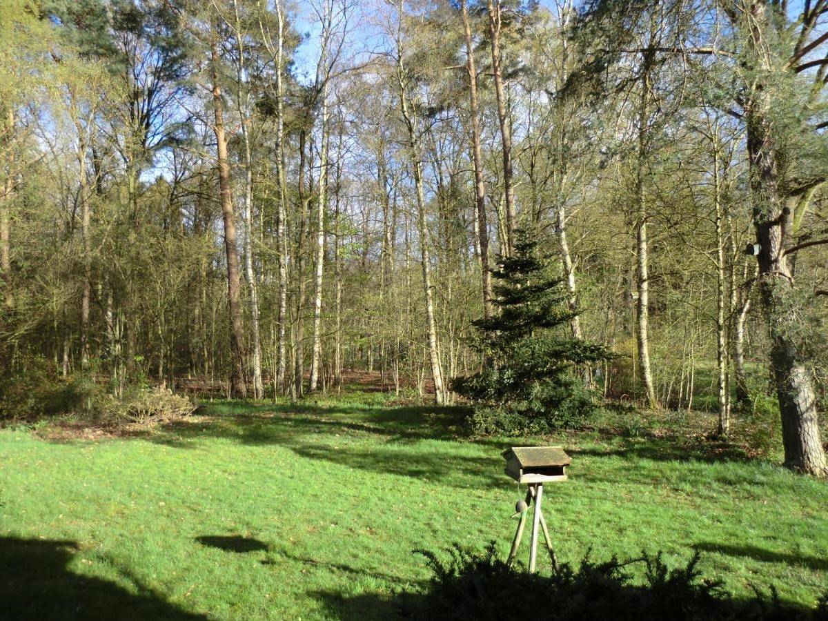Ganze Wohnung, Ferienwohnung Bachforelle in Neuenkirchen (Lüneburger Heide), Landkreis Heidekreis