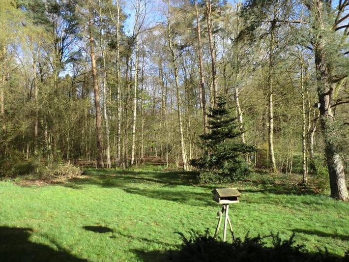 Ferienwohnung für 3 Personen, mit Balkon und Terrasse sowie Garten und Ausblick in Neuenkirchen (Lüneburger Heide)