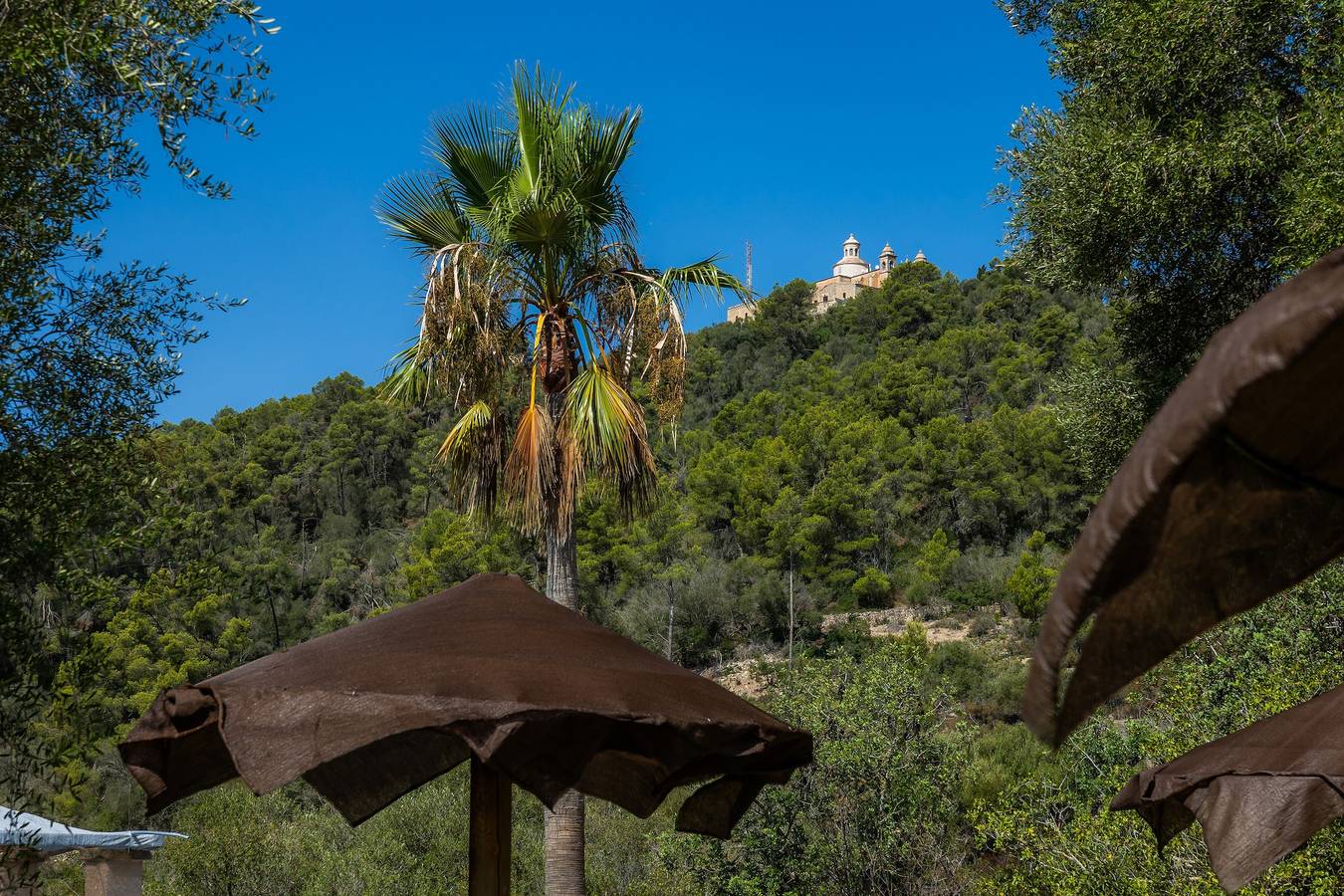 Geheel appartement, Appartement "Es Sostre" met Uitzicht op de Bergen, Gedeeld Zwembad & Wifi in Petra, Mallorca Binnenland