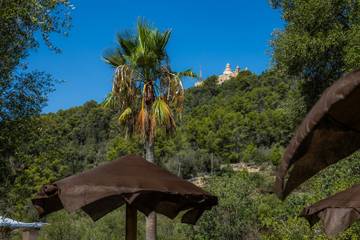 Apartment in Petra (Mallorca), Mallorca Inselmitte für 3 