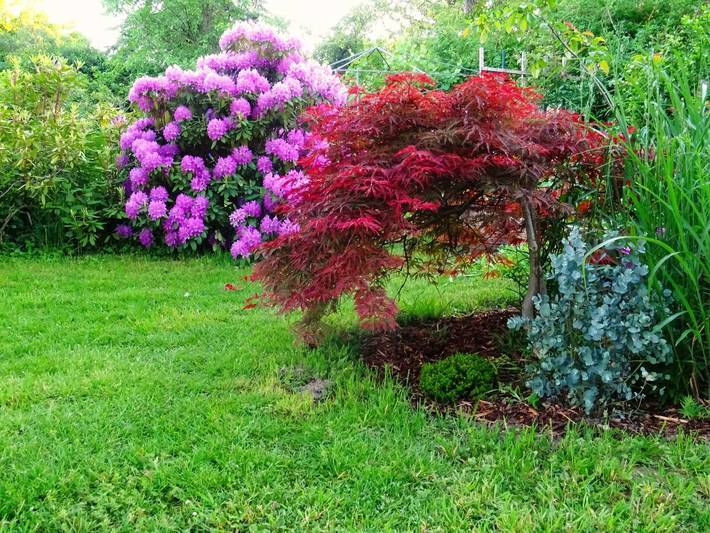 Bauernhof für 3 Personen, mit Garten in Sachsen - 4