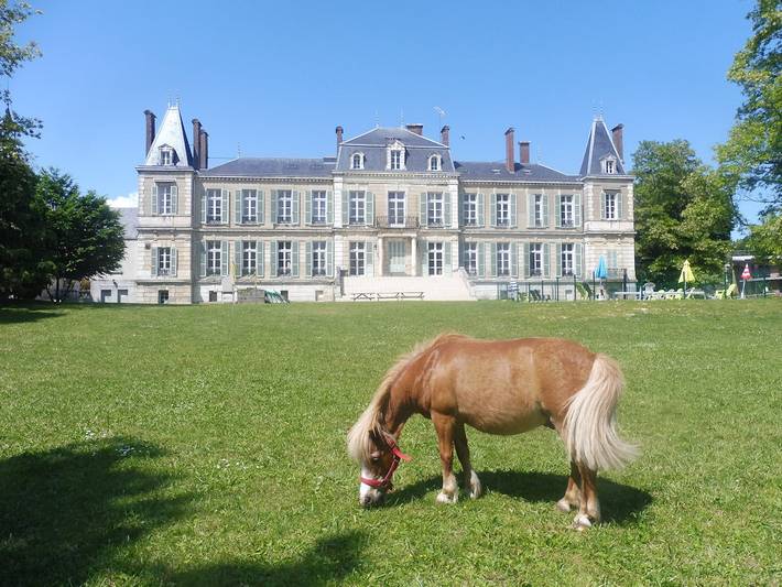Château pour 72 personnes, avec piscine et jardin, animaux acceptés en Bourgogne-Franche-Comté - 3