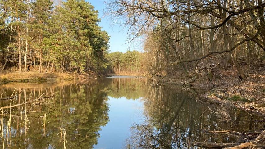 Ferienhaus für 4 Personen, mit Garten am Fläming