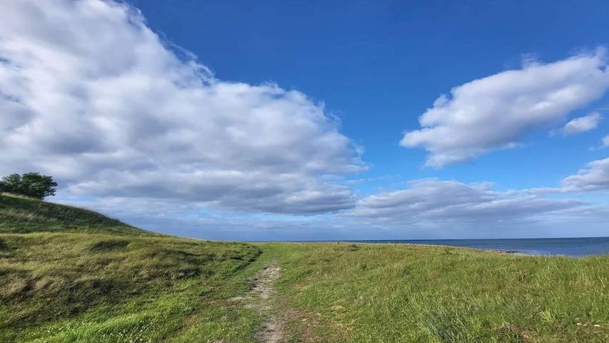 Ferienhaus für 5 Personen, mit Terrasse, mit Haustier in Grenå Strand - 2