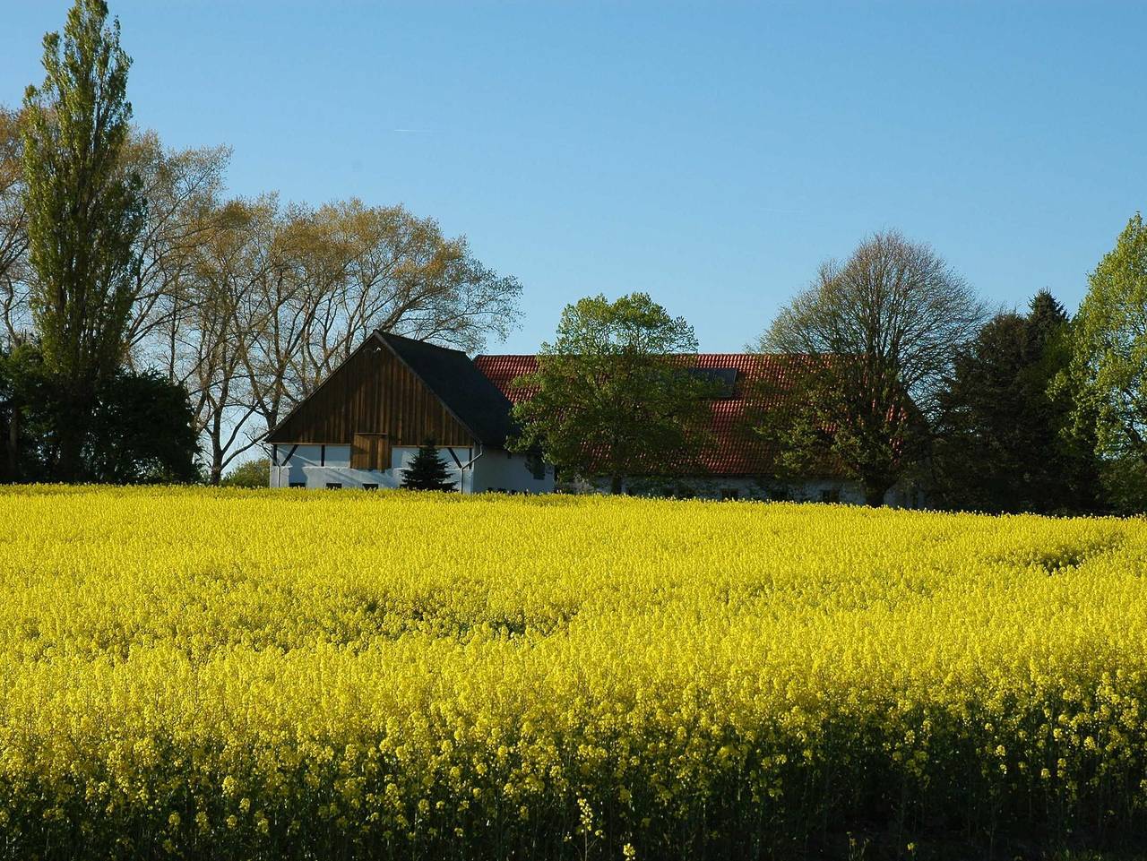 Ganze Ferienwohnung, Holsteinhaus-Zirmoisel: Ruhe u. Natur, Sauna/Danarium - Holsteinhaus-Zirmoisel in Rappin, Rügen