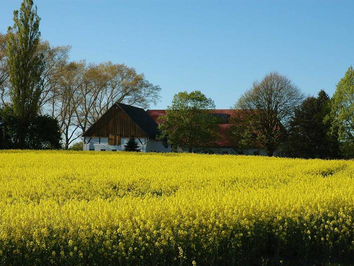 Ganze Ferienwohnung, Holsteinhaus-Zirmoisel: Ruhe u. Natur, Sauna/Danarium - Holsteinhaus-Zirmoisel in Rappin, Rügen