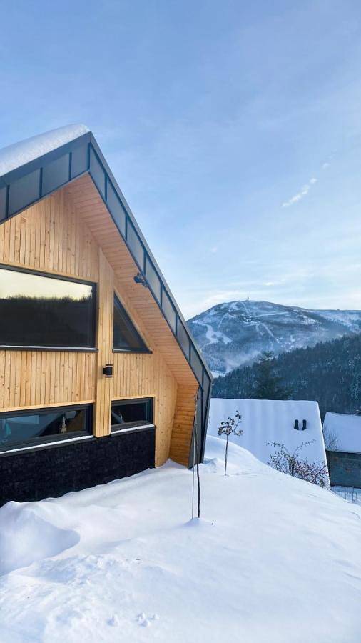 Osada Mountain Villas Szczyrk - domki z balią i sauną - piękny widok na góry - Dream Apart in Szczyrk, Karpaty (Polska)