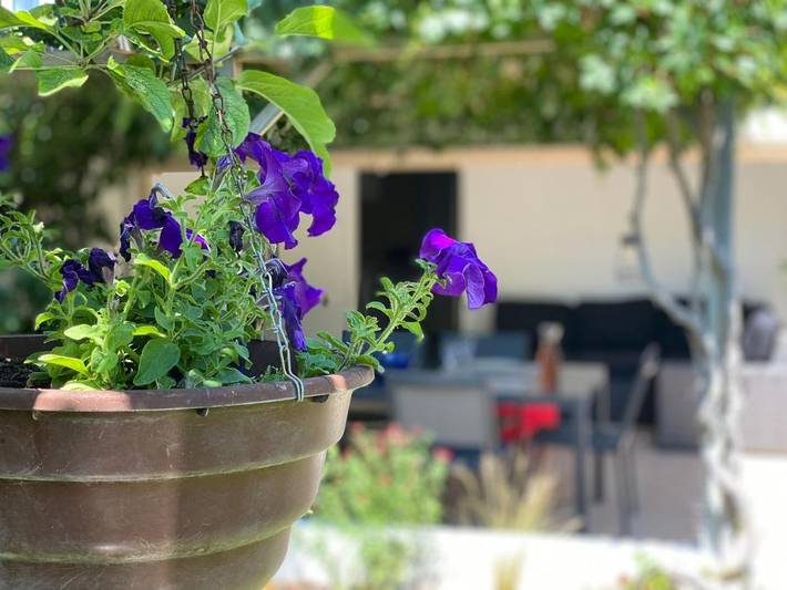 Gîte pour 2 personnes, avec jardin à Orange - 4