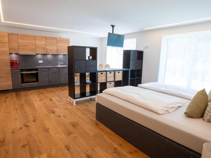 Ferienwohnung für 2 Personen, mit Terrasse und Garten in Dalaas - 3