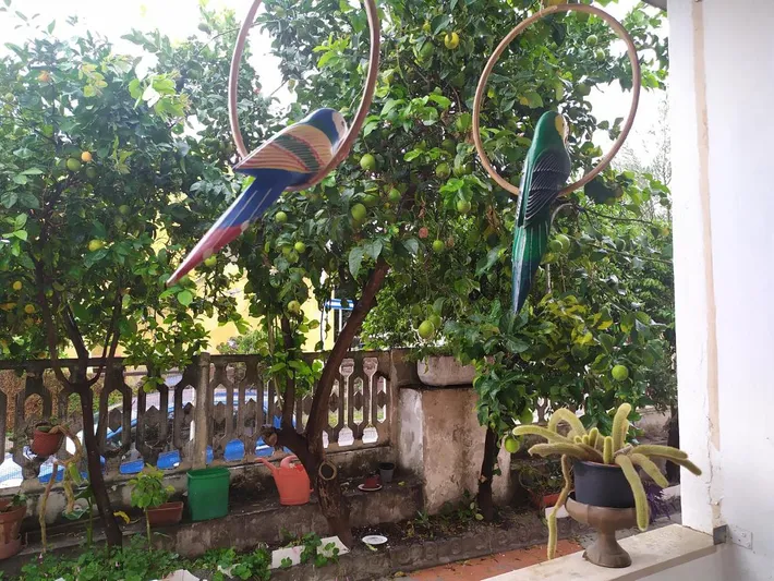 Apartamento de vacaciones para 2 personas, con jardín - 1