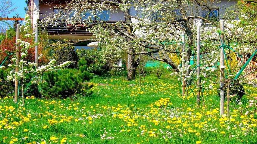 Ferienwohnung für 2 Personen, mit Garten und Terrasse in Rottweil