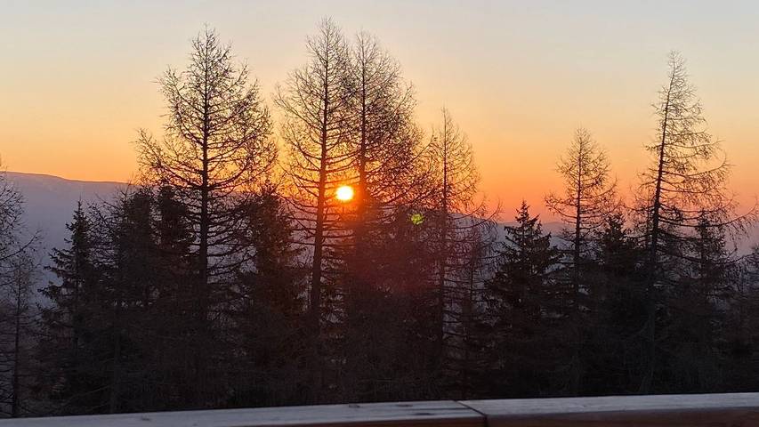 Ferienhaus für 6 Personen, mit Terrasse und Garten sowie Sauna und Whirlpool in Österreich - 4