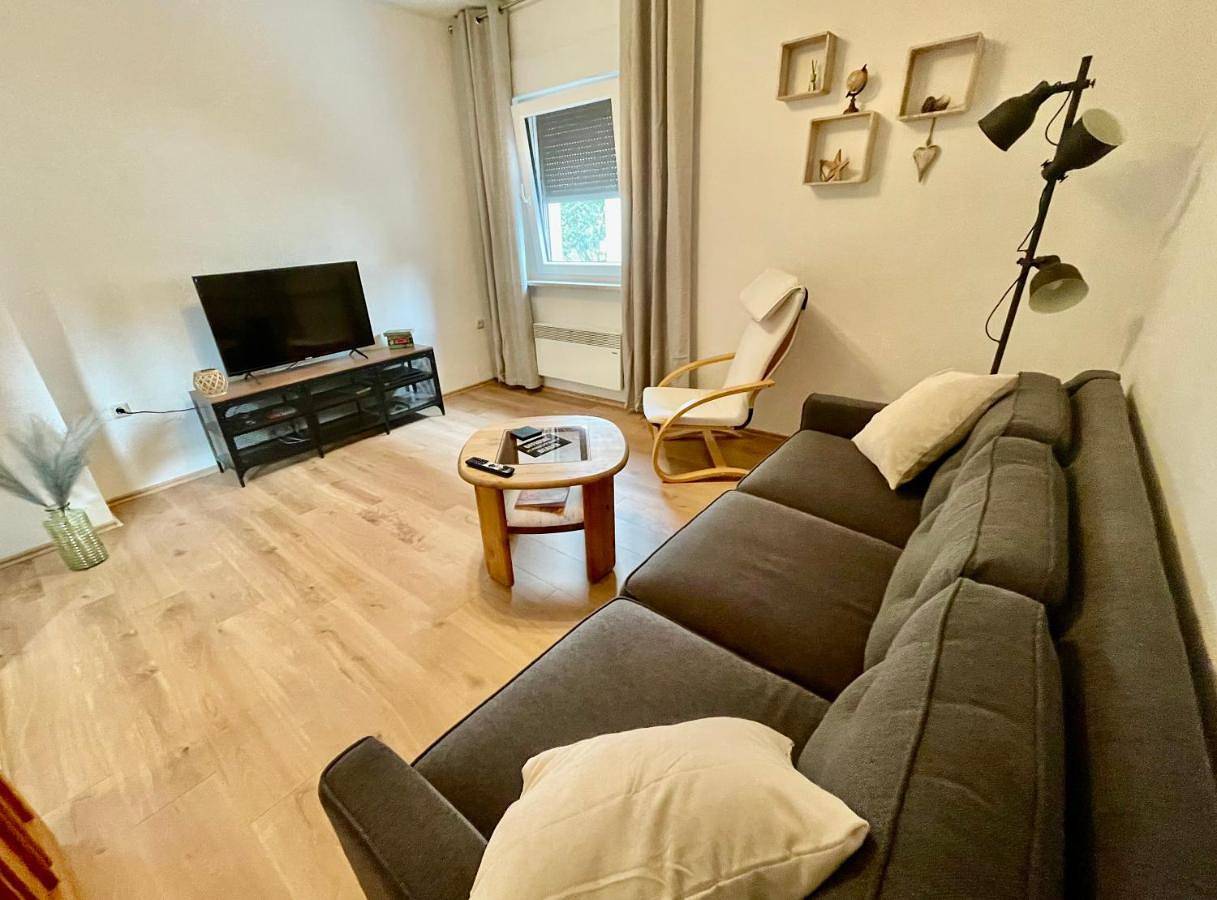 Ganze Wohnung, Apartment Ilm-Oase-Vollausstattung-Netflix-Rtlplus in Langewiesen, Thüringer Kernland