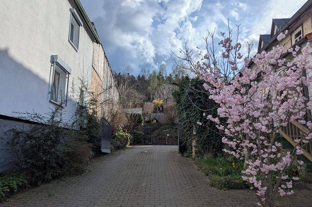 Ganze Wohnung, Ferienwohnung Frankenglück; am Waldrand, im Luftkurort in Schönau a.d.Brend, Rhön-Bayern
