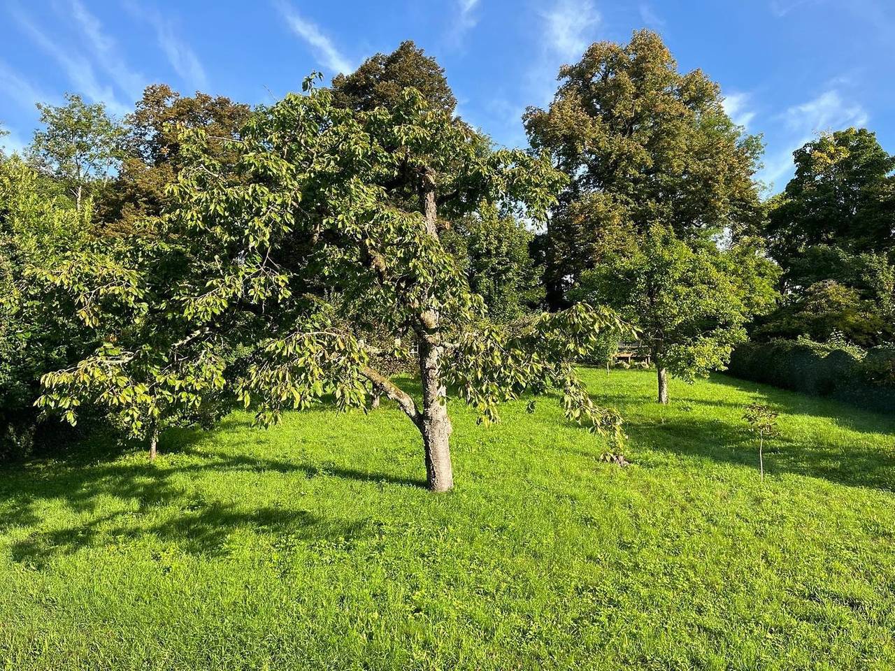 Ganze Wohnung, Ferienwohnung Am Gallerturm - Überlingen am Bodensee in Überlingen, Region Bodensee-Oberschwaben