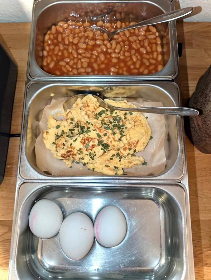 Maison d’hôte pour 2 personnes, avec jardin, animaux acceptés à Titisee-Neustadt - 4