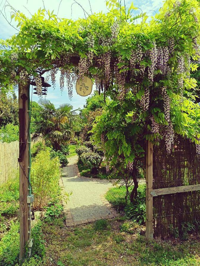 Gîte pour 2 personnes, avec terrasse et jardin, animaux acceptés à Parigné - 3