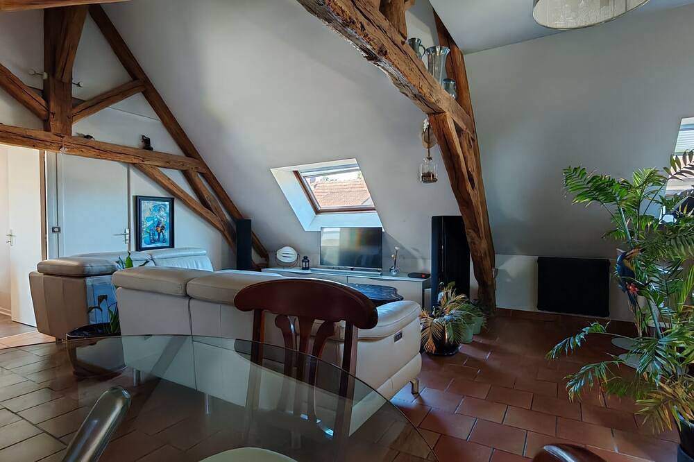 Ganze Wohnung, Super large old beam apartment with double living room in Le Perray-en-Yvelines, Parc naturel régional de la Haute Vallée de Chevreuse