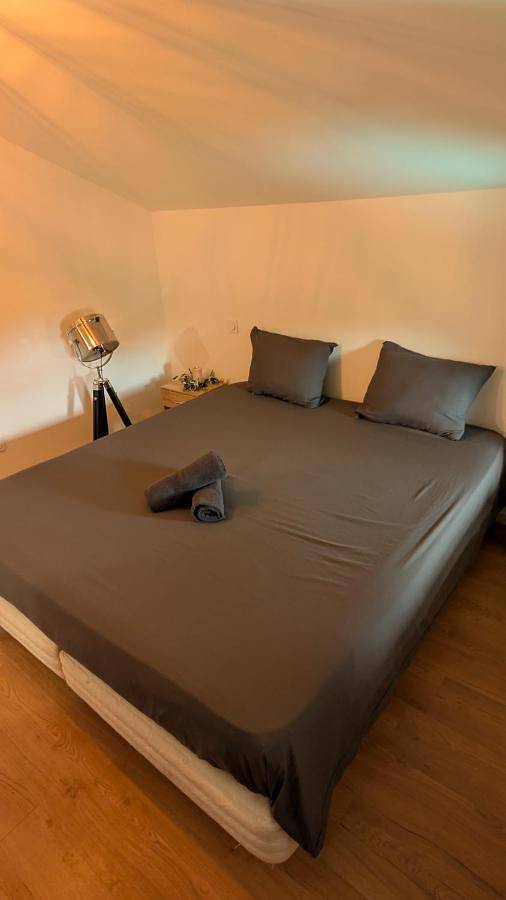Appartement entier, Charmant T2 Climatisé à deux pas du centre in Lisle-sur-Tarn, Région d'Albi
