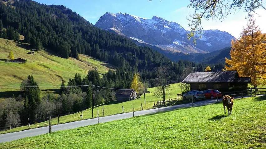 Ferienwohnung für 7 Personen, mit Garten in Frutigen - Lenk - Adelboden