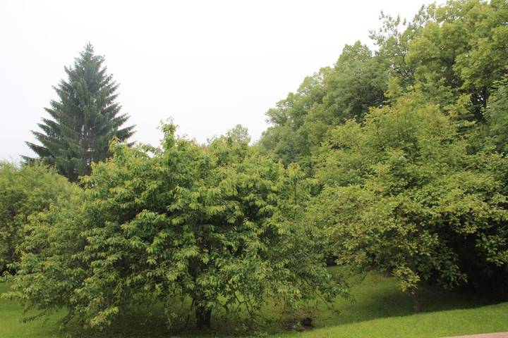 Location de vacances pour 6 personnes, avec vue et balcon ainsi que vue sur le lac et jardin à Pugny-Chatenod - 2