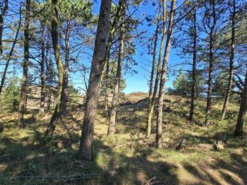 Ferieudlejning til 6 Personer i Kongsmark, Rømø, Billede 4