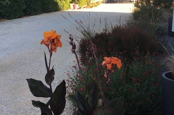 Location de vacances pour 6 personnes, avec Terrasse et Jardin à Saint-Marcel-de-Careiret - 4