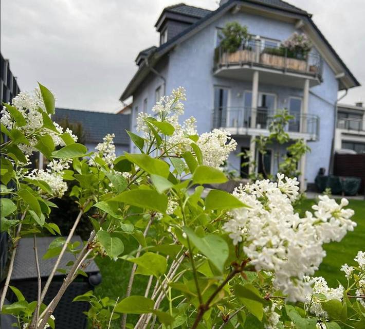 Ferienwohnung für 4 Personen, mit Ausblick und Terrasse in Weißenthurm - 4