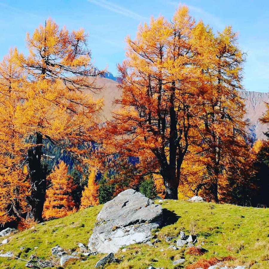 Ganze Wohnung, Berghäusl in Tuxer Alpen, Hintertux