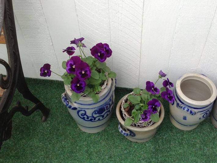 Ferienhaus für 2 Personen, mit Terrasse und Garten am Taunus - 4