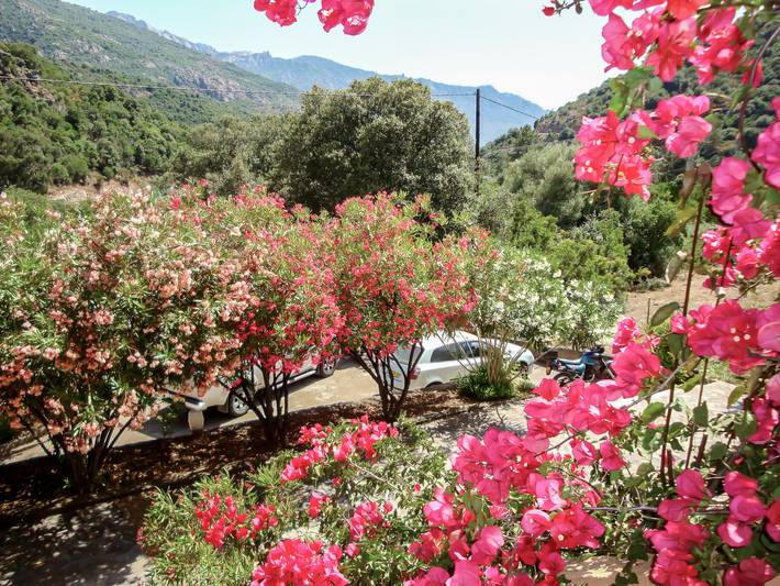 Gîte pour 4 personnes à Serriera