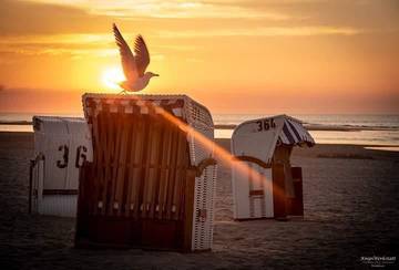 Ferienwohnung für 3 Personen in Langeoog, Landkreis Wittmund, Bild 4
