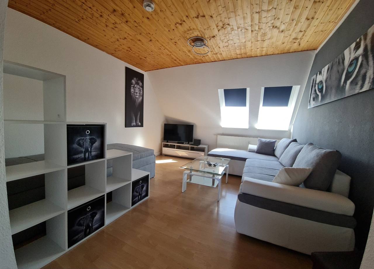Ganze Ferienwohnung, Ferienwohnung Carola in Altenburg, Ostthüringen