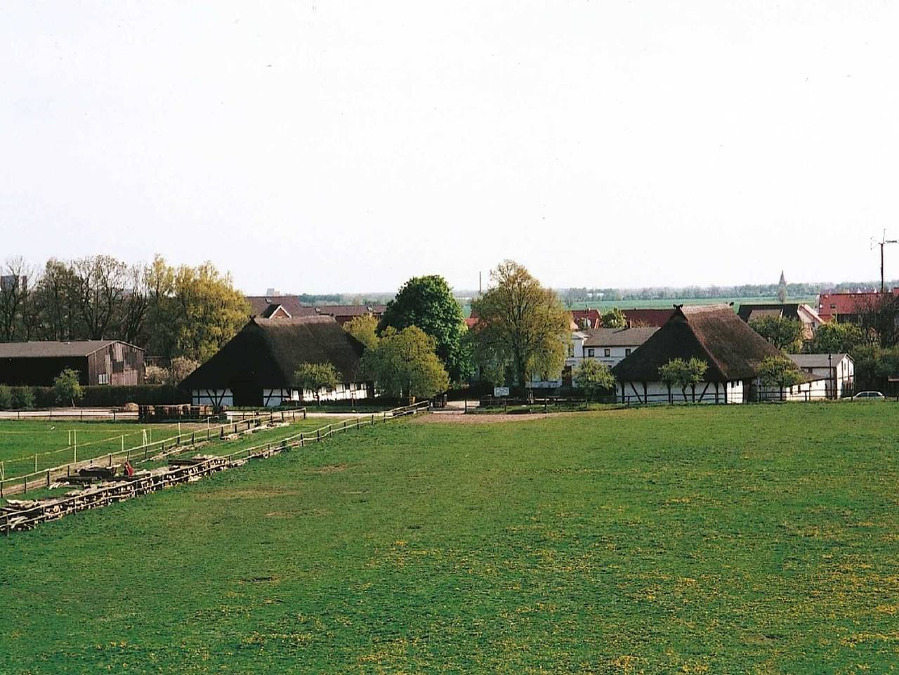 Reit- und Ferienhof Blohm - Objekt 26099 in Diedrichshagen, Rostock und Umgebung