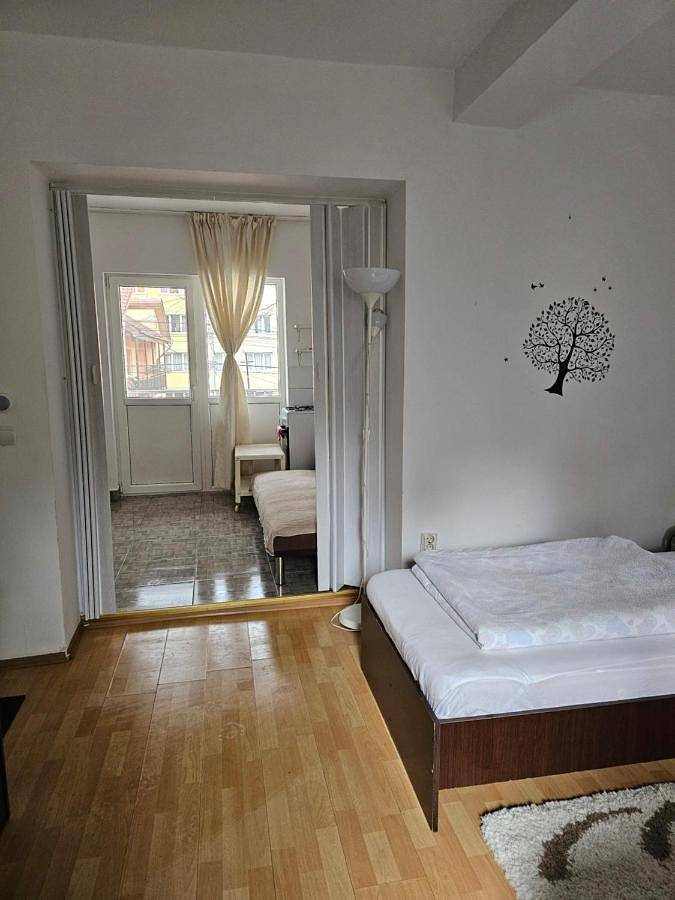 Entire apartment, Casa Ana in Cluj