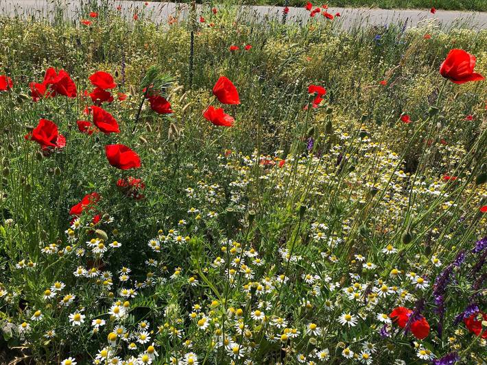 Ferienwohnung für 4 Personen in Grambin - 4