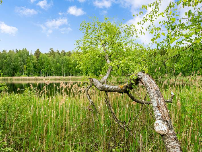 Käpälämäki in Hartola, Päijät-Häme