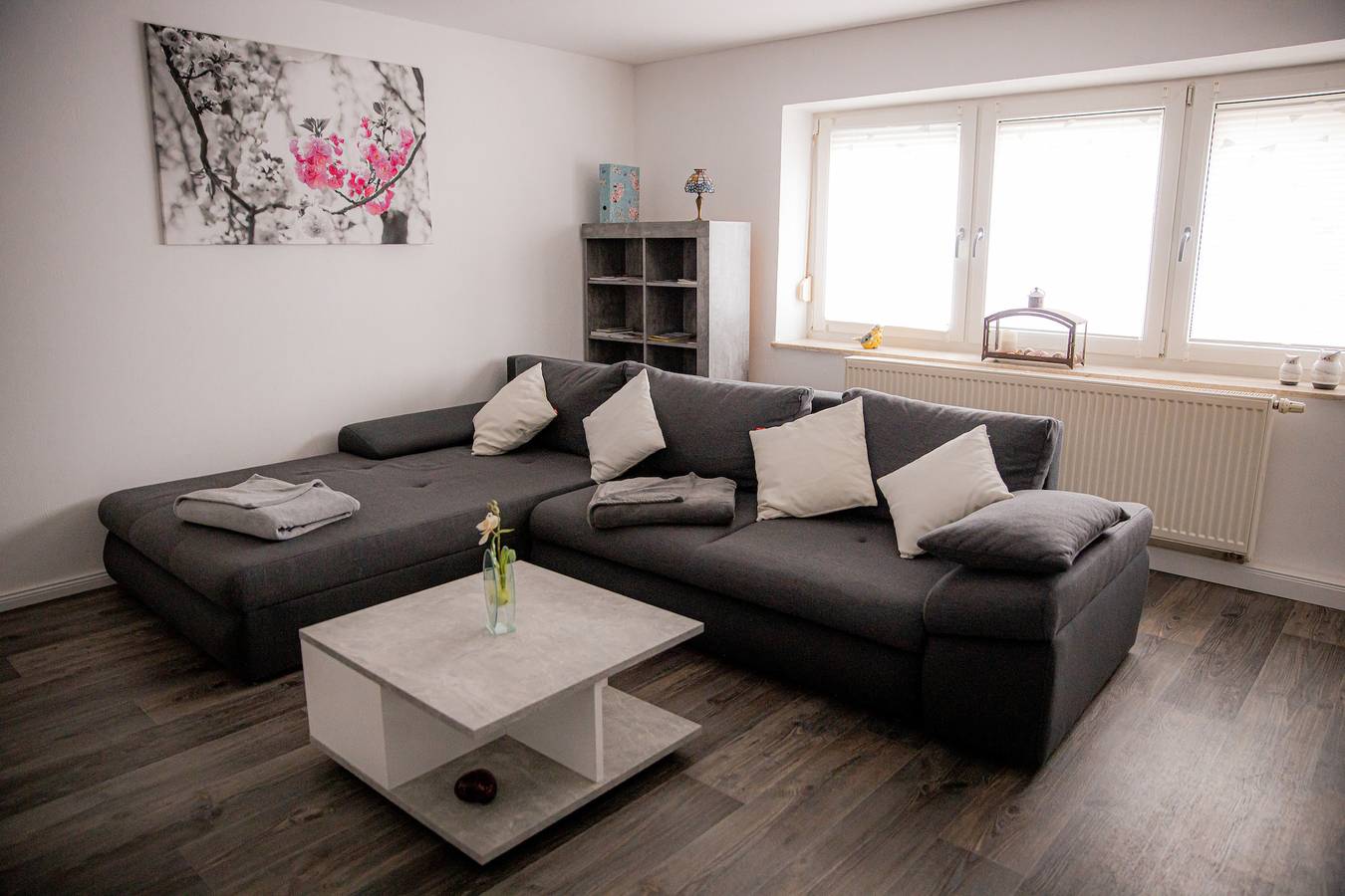 Ganze Ferienwohnung, Ferienwohnung zur Kirschblüte in Schönberg (Bayern), Vorderer Bayerischer Wald