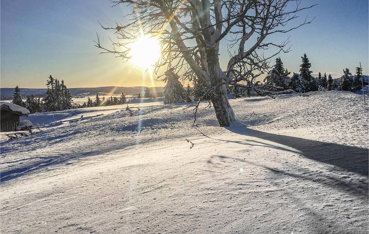 Ferienhaus für 4 Personen, mit Terrasse und Garten, mit Haustier in Ost-Norwegen - 2