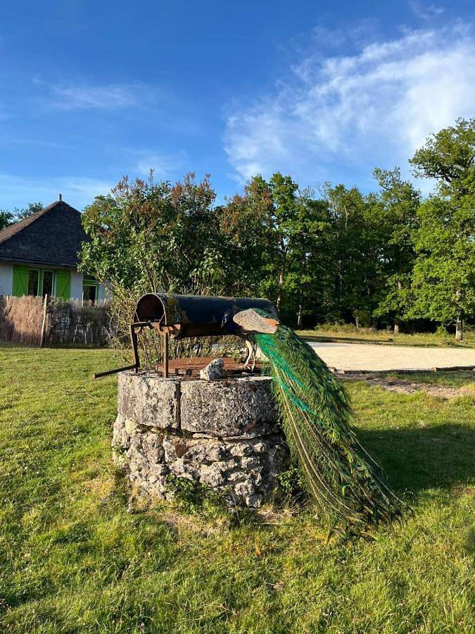 Location de vacances pour 4 personnes, avec terrasse et jardin ainsi que vue et vue sur le lac à Saint-Laurent-Nouan - 3