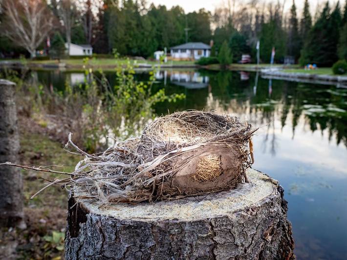 Cottage for 10 people, with garden and terrace in Kawartha Lakes